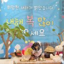 개좋은날 이미지