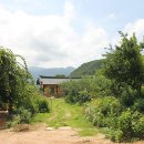 지리산 산골농원 이미지