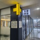 위례나무동물병원 | 위례 LA동물병원 피부 레이저 치료 후기!