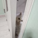 7/9-7/15 주 투더 간 투더 일기