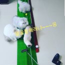 동서울골프클럽 이미지