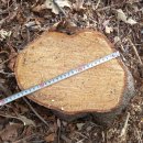 은평-037 이미지