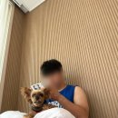 NR-32[서해로]-상-103 | 인천 영종도 애견동반 여행기 내돈내산 2 : 오션 솔레뷰 호텔 / 연화리가는길 / 천돈 / 피싱웨이브에서...