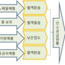 소금은 피를 맑게하여 혈압을 낯준다 이미지