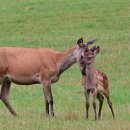 하늘곳간 이미지