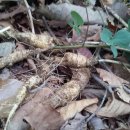 섬바위농장 이미지