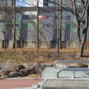 늘푸른몬테소리어린이집 이미지