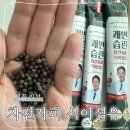 대신싸이언스 | 이대호가 선택한 차전자피 변비약 대신 먹어본 BD사이언스 쾌변습관 차전자피 식이섬유 후기