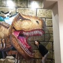 보석박물관 이미지