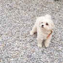 스테이나루펜션 이미지