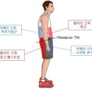준바디