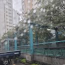 호수마을풍림(아) 이미지