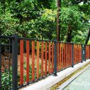 성사공원(테니스장 옆) 이미지