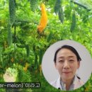 식미안 이미지