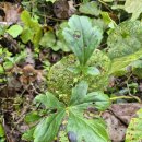 진범이네 농장 이미지