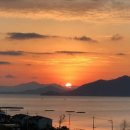 아라실 이미지
