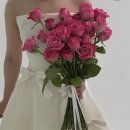 플라워디렉팅] 소르아 촬영, 결국 플라워디렉팅 하기로 결심한 이유(연희동 베르겔 플라워디렉팅 계약후기)