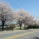 남산 산책로 이미지