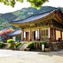 삼학장여관 티스토리