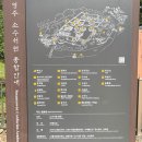 경북 영주 소수서원, 선비촌 유네스코 세계유산 여행 후기