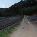 (주)다람지 이미지