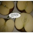 협동조합 곰네들 이미지