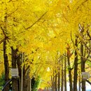 삼각지공원 이미지