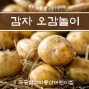 🥔감자 오감놀이 이미지