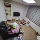 제주 쓰레기집청소 후기와 추천 이유를 알아보세요