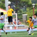 월드컵처럼 뜨거운 열정… 전국 고교유망주 강릉 모인다 - 금강대기 축구대회 내일 개막, 강릉중앙고·경기과천고 개막전 이미지