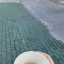 씽씽잎새손만두분식