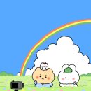 비바리코 이미지
