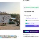 스테이오로지 이미지