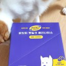 고양이 음수량을 책임져줄- 바잇미 펫밀크 베리나이스 후기