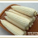 대관령농산물판매 이미지