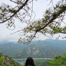 강남대로55길1-7 이미지