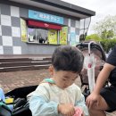 안성팜랜드 푸드트럭 이미지