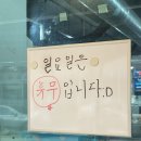 꿀먹은돼지 이미지