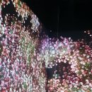 부산광역시 영도구 해양로 이미지