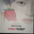 세종퍼스트피부과의원 이미지