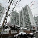 늘푸른동아 이미지