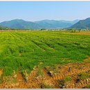 섬진강 한의원 이미지