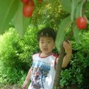 보리수어린이집 이미지