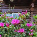 난드르 통나무집 이미지