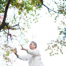 남촌세탁소 이미지