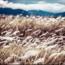 KC에너지 이미지