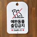 본전낚시 할인매장 앞 | 보령 맛집 오양손칼국수 웨이팅 후기 내돈내산