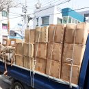 일진농장 이미지