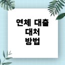 주식회사 지키미 | 페퍼저축은행 대출 연체: 5일차 부분상환, 불이익 및 대처 방법 총정리