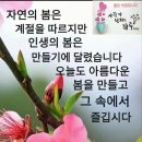 빵긋 이미지